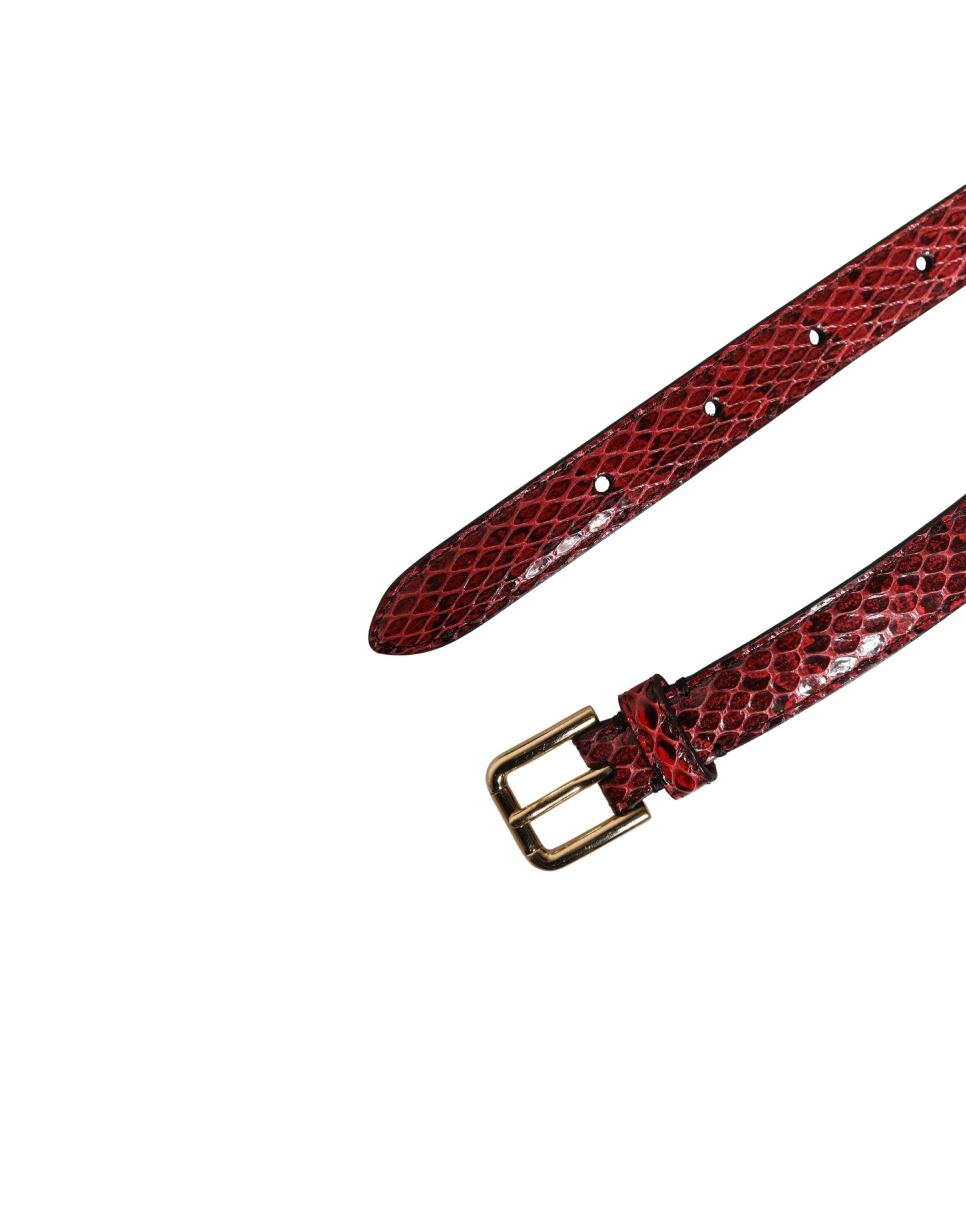 Dolce & Gabbana Roter Ledergürtel mit Gänseblümchen-Kristallbesatz