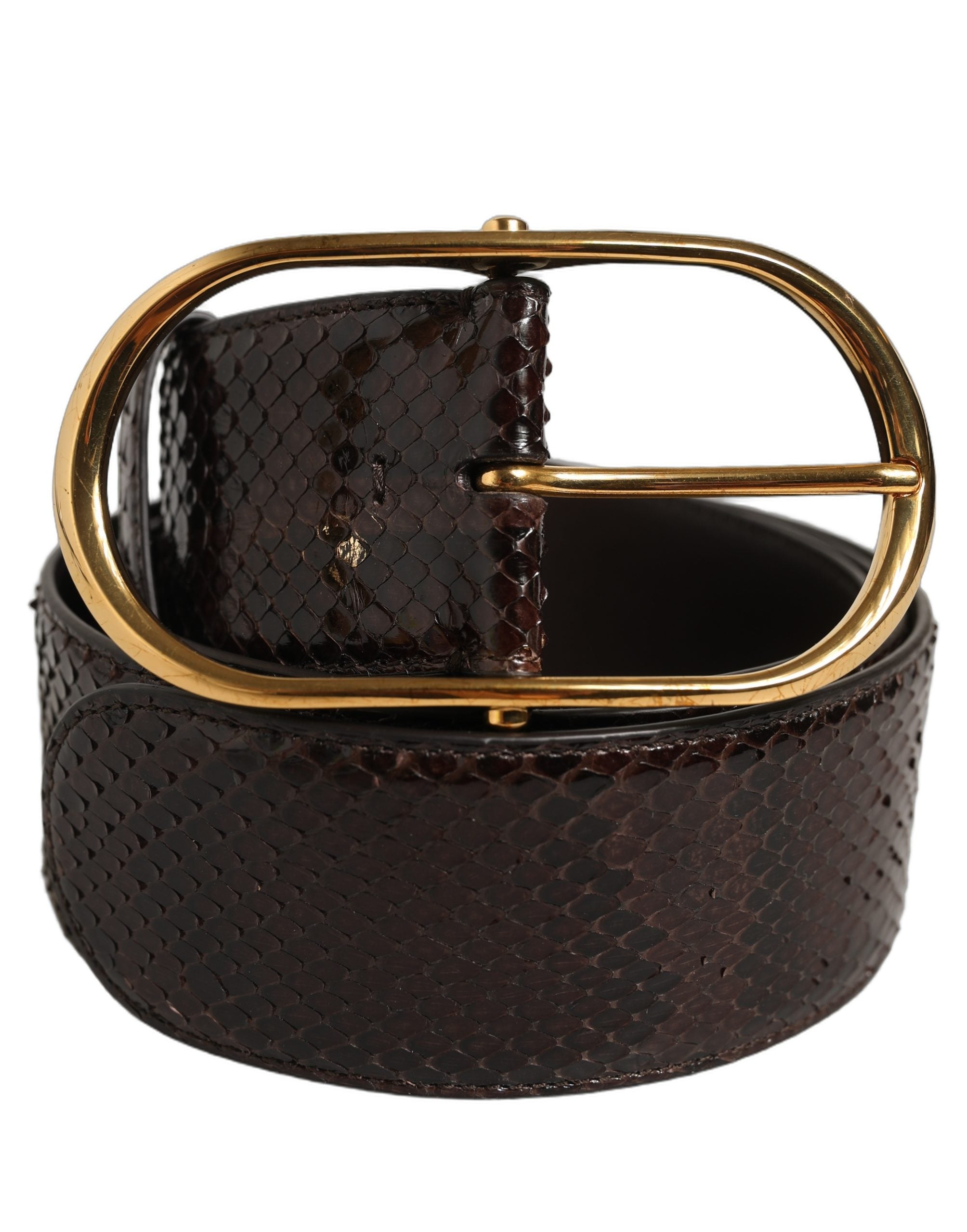 Dolce & Gabbana Brauner Pythonledergürtel mit goldener Metallschnalle