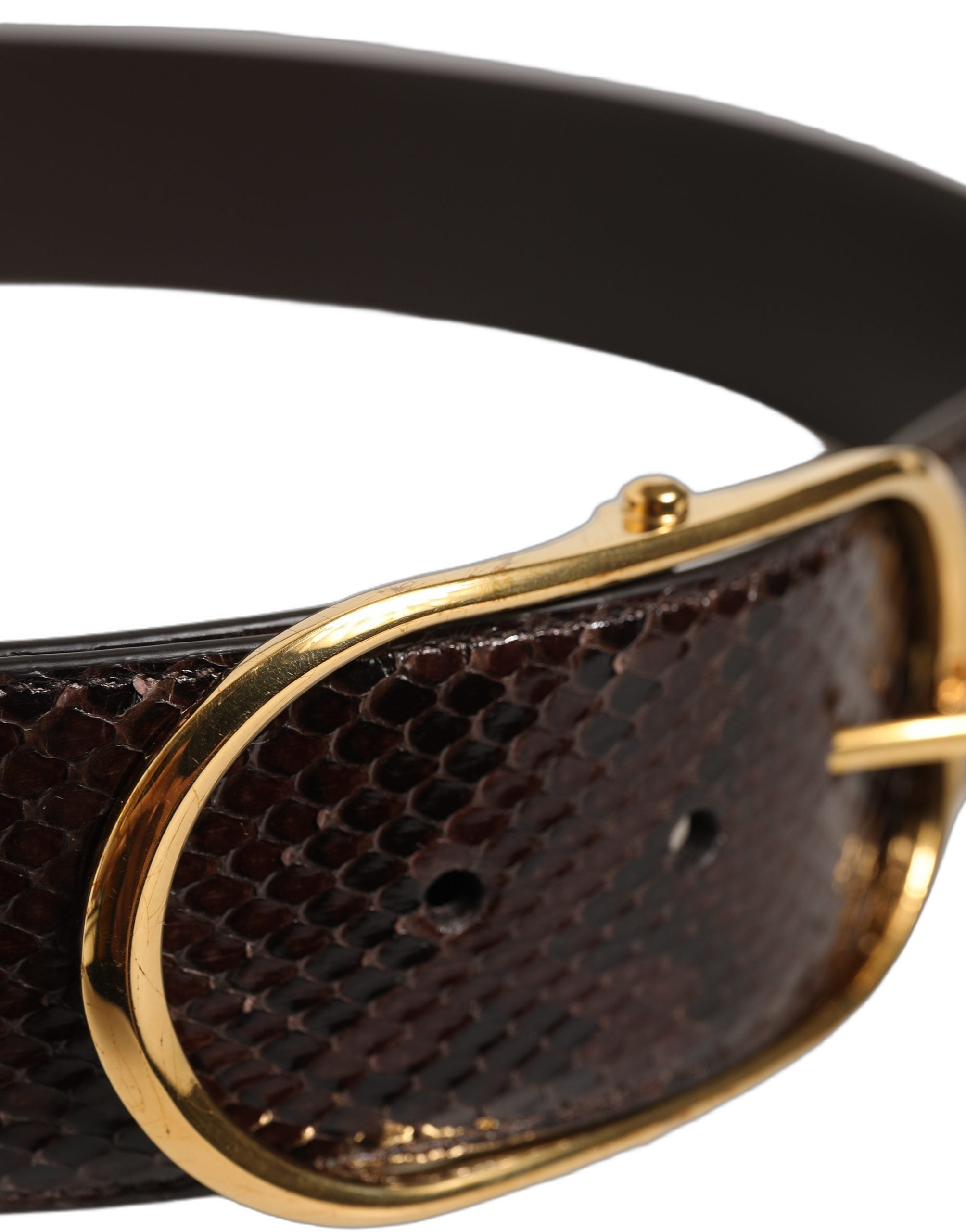 Dolce & Gabbana Brauner Pythonledergürtel mit goldener Metallschnalle