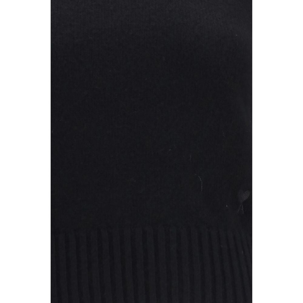 Ami Paris Pullover aus Wolle Oves Aries in Schwarz