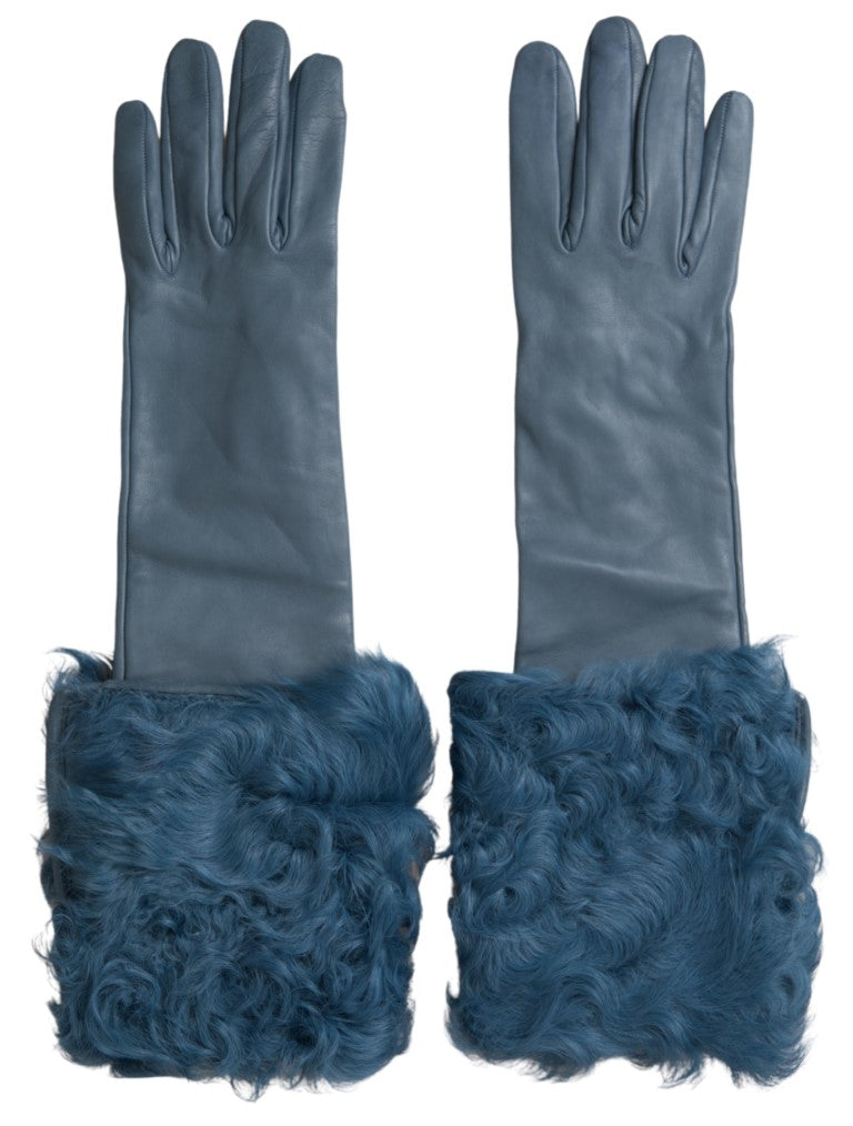 Dolce & Gabbana Blaue Lederpelz-Handschuhe mittlerer Armlänge