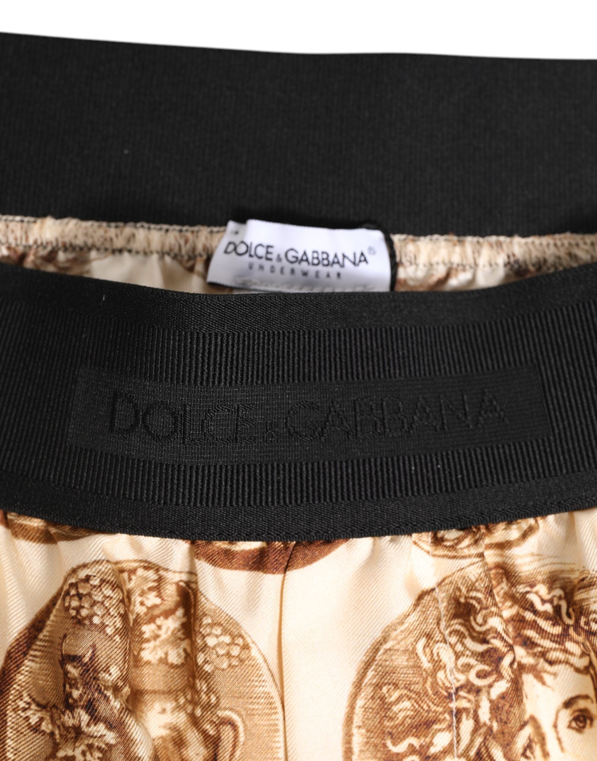 Dolce & Gabbana Brown Ancient Coin Print Seidenshorts Bademode