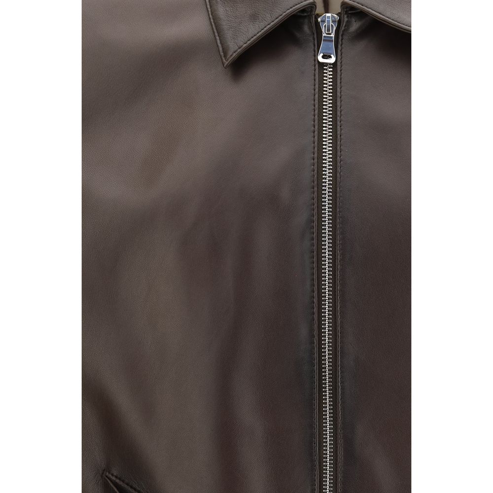 D'amico Brauner Lamm Ovis Aries Aries Bomber