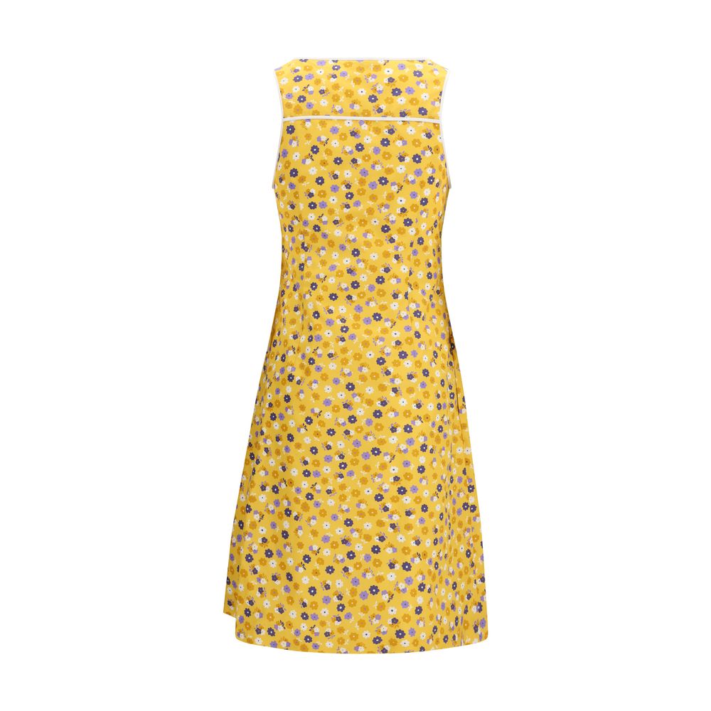 Miu Miu Zweifarbige Baumwoll-Freizeitkleid