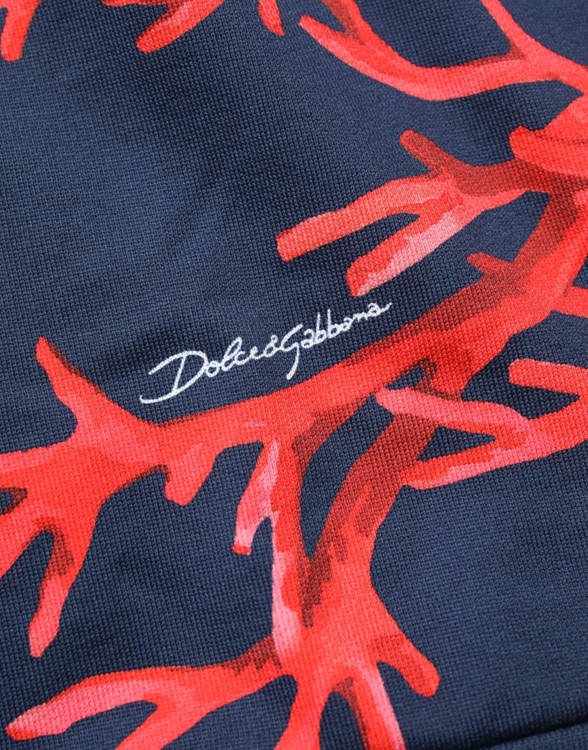 Dolce & Gabbana Blauer Kapuzenpullover aus Baumwolle mit Korallen-Logo