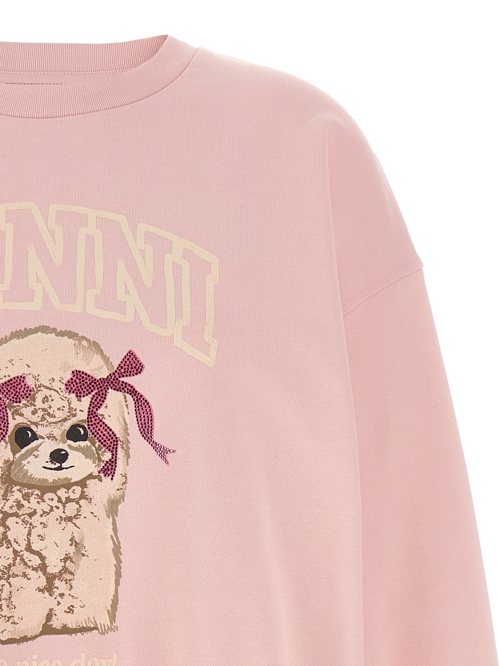 Ganni Mehrfarbiger Sweatshirt aus Bio-Baumwolle