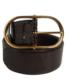 Dolce & Gabbana Brauner Pythonledergürtel mit goldener Metallschnalle
