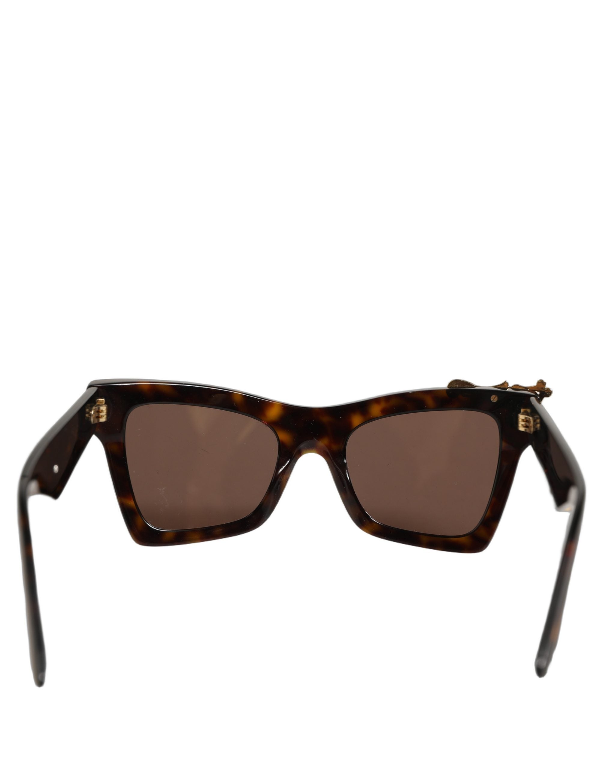 Dolce & Gabbana Braune DG4434 Accent Havana Acetatrahmen Sonnenbrille