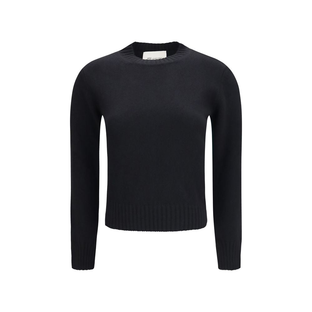 Ami Paris Pullover aus Wolle Oves Aries in Schwarz