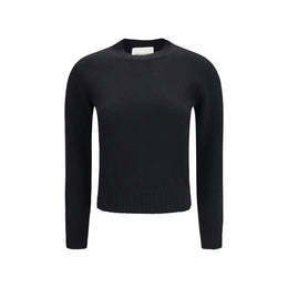 Ami Paris Pullover aus Wolle Oves Aries in Schwarz