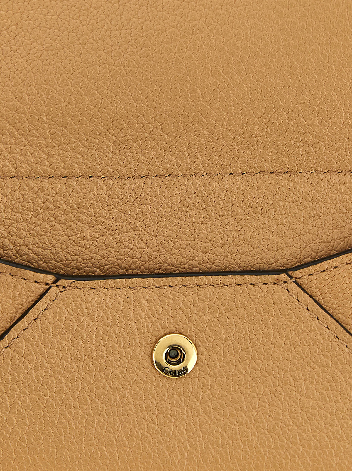 Chloé Multicolor Ziegenleder Kartenetui
