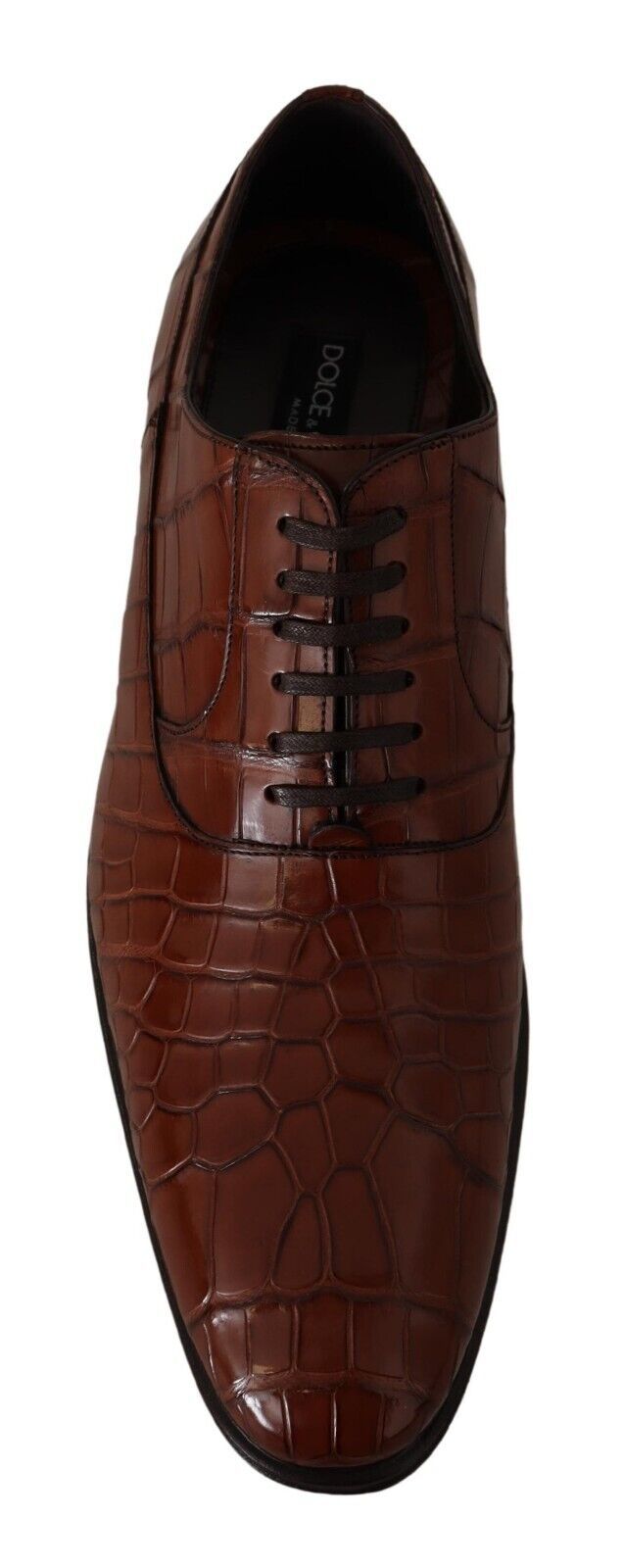 Dolce & Gabbana Braunes Krokodilleder Herren Derby Schuhe