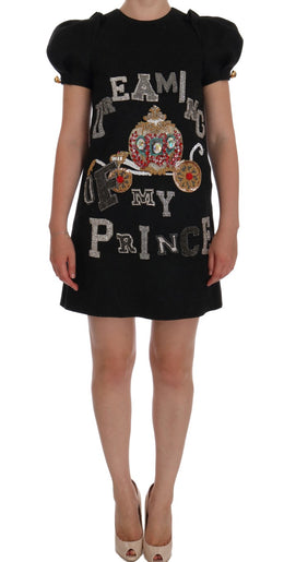 Dolce & Gabbana Graues Kristallkleid "Träume von meinem Prinzen