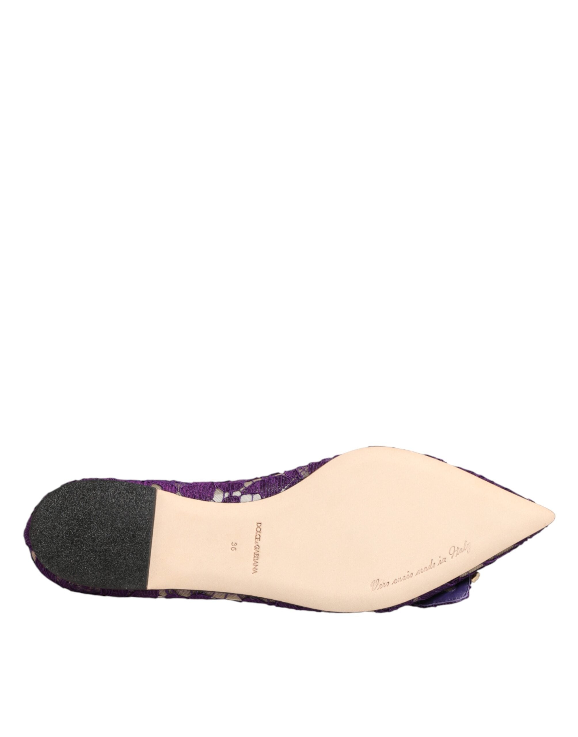 Dolce & Gabbana Lila Taormina-Spitzen-Ballerinas mit Kristallen